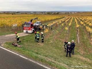 2022 10 22  VU Weinbergstrasse 07